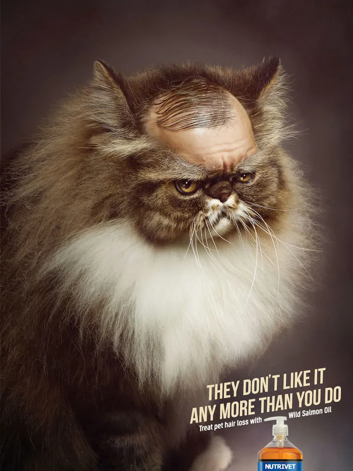 My 51 Favorite Print Ads That Use Cats In A Purrfect Way