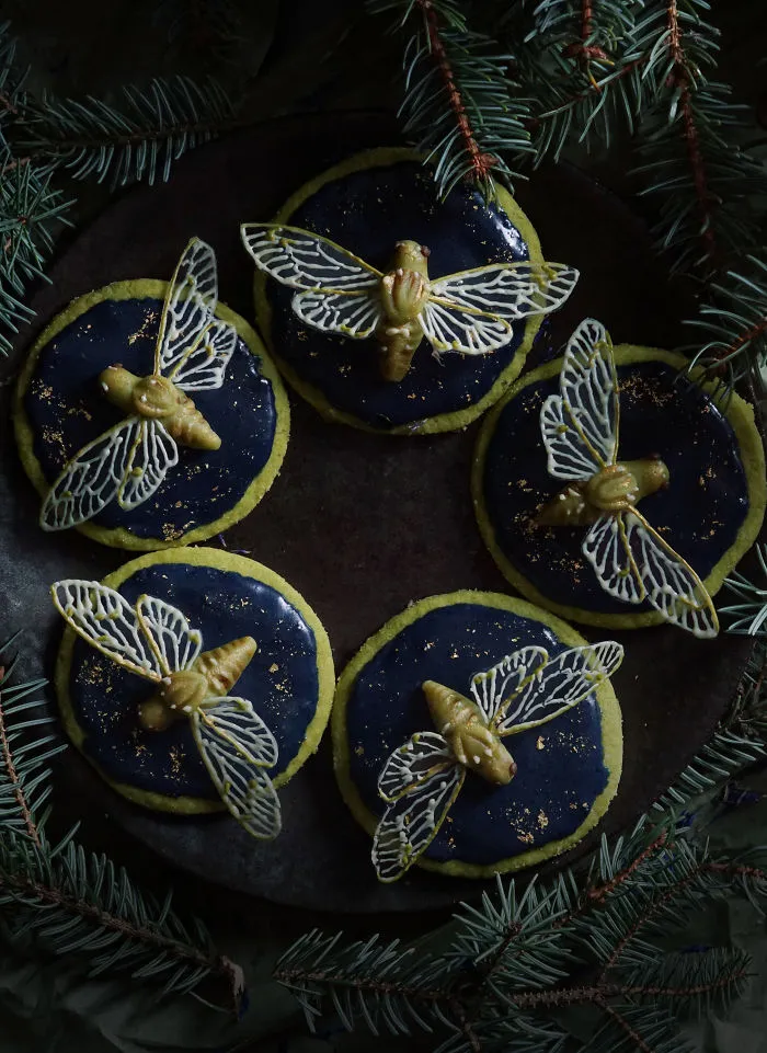 Cicadas And Lapis Lazuli