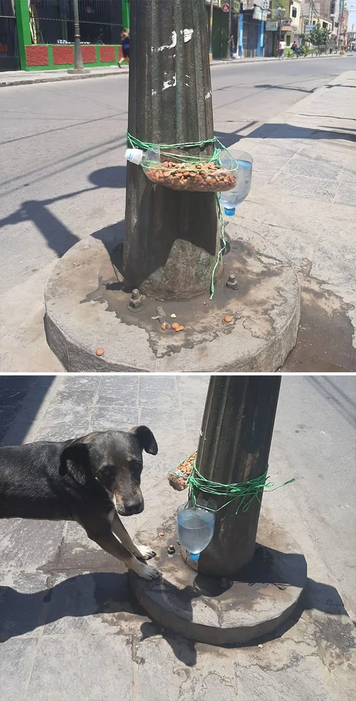 If You Think People Are The Worst These Days, These 35 Wholesome Pics May Change Your Mind (New Pics)