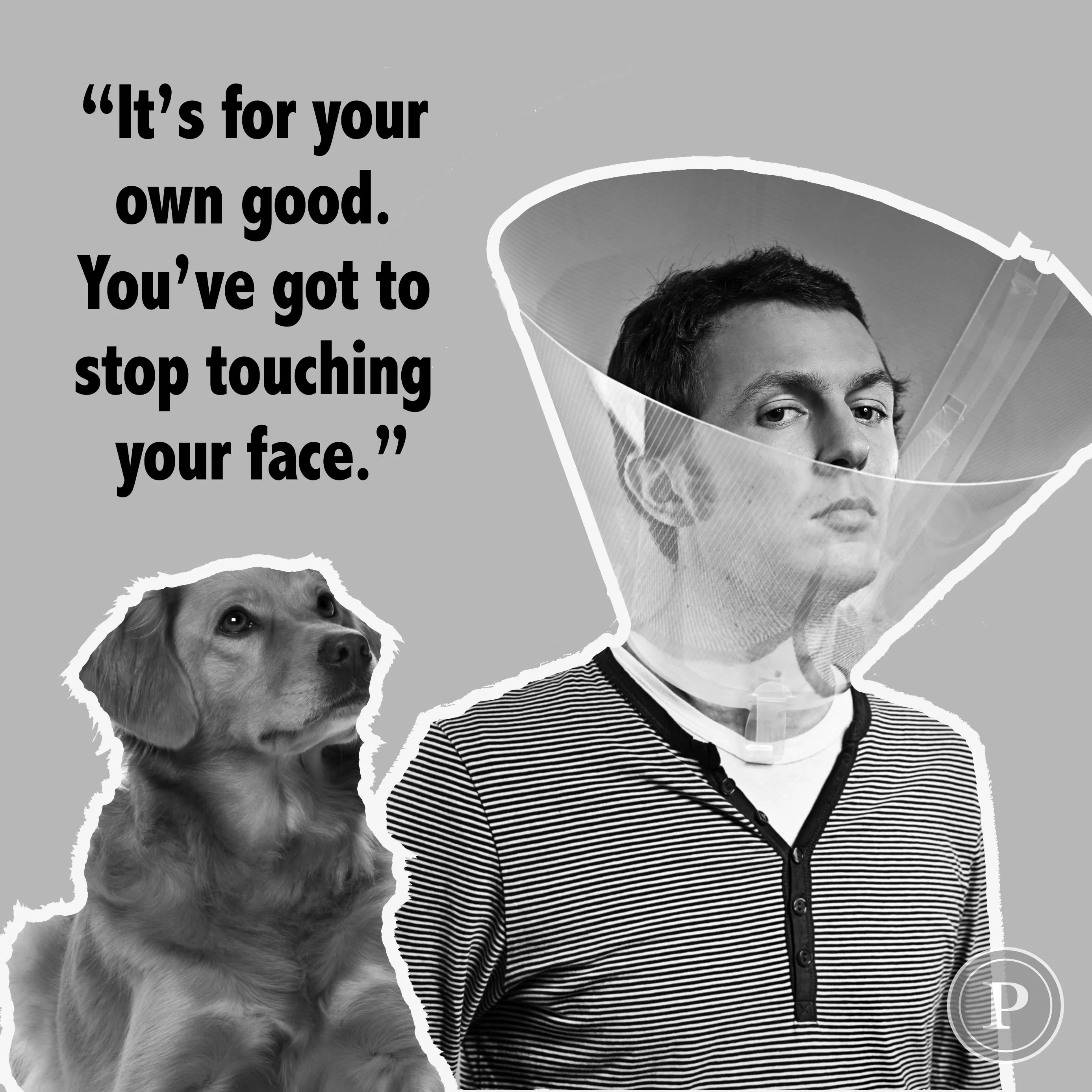 Dogs Finally Get There Revenge After All These Years!😫