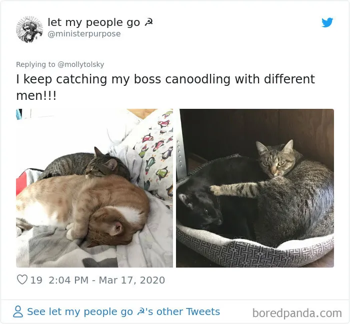 Someone Suggests That Couples Working From Home Should Blame Things On Fake "Coworkers", Gets 30 Funny Replies
