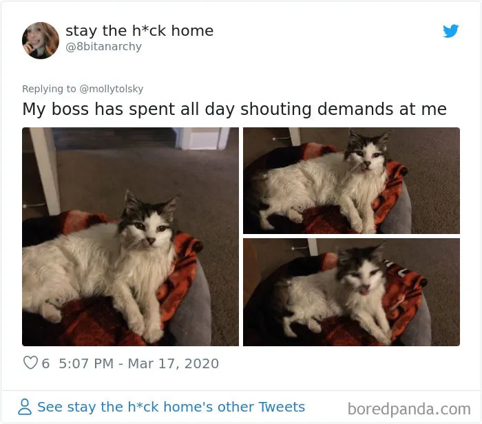 Someone Suggests That Couples Working From Home Should Blame Things On Fake "Coworkers", Gets 30 Funny Replies