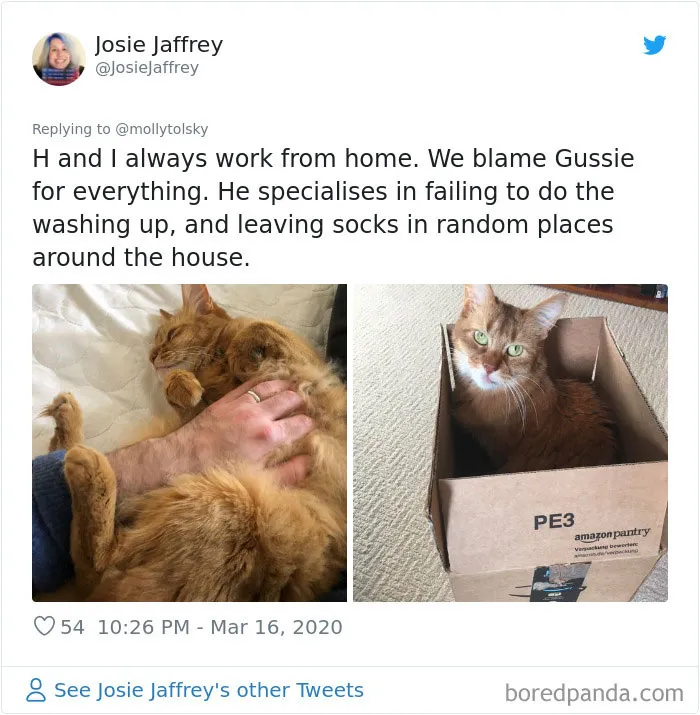 Someone Suggests That Couples Working From Home Should Blame Things On Fake "Coworkers", Gets 30 Funny Replies