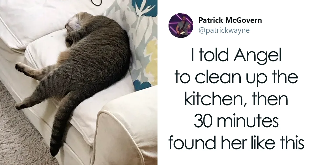 Someone Suggests That Couples Working From Home Should Blame Things On Fake "Coworkers", Gets 30 Funny Replies