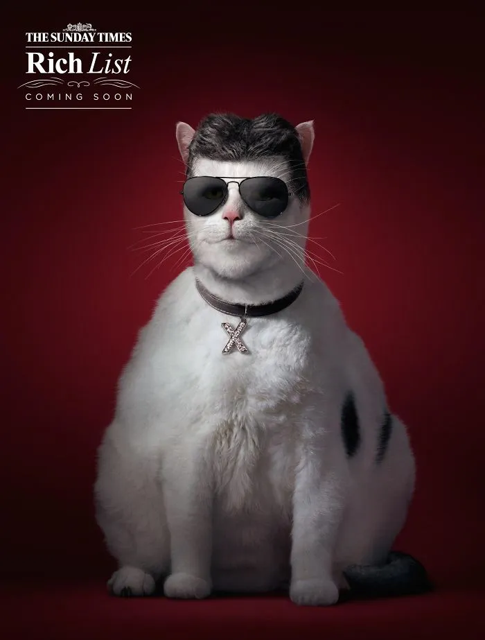 My 51 Favorite Print Ads That Use Cats In A Purrfect Way