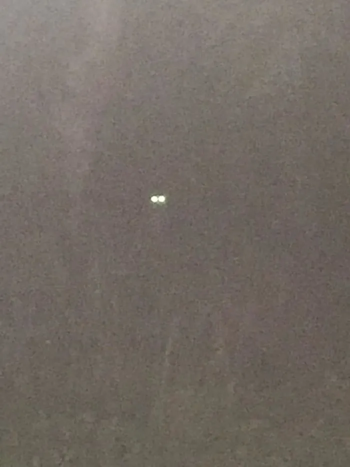 This Cougar Was So Close I Was Able To Get A Picture Of It!!!