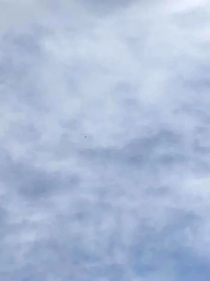 Behold, The Majestic Bald Eagle
