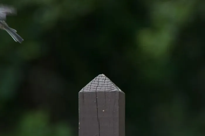 :(