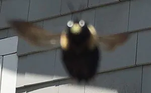 This Facebook Group Is Dedicated To Crappy Wildlife Photos That Are So Bad They're Good