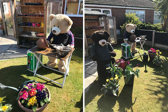 Day 14 Sunny Days For Gardening