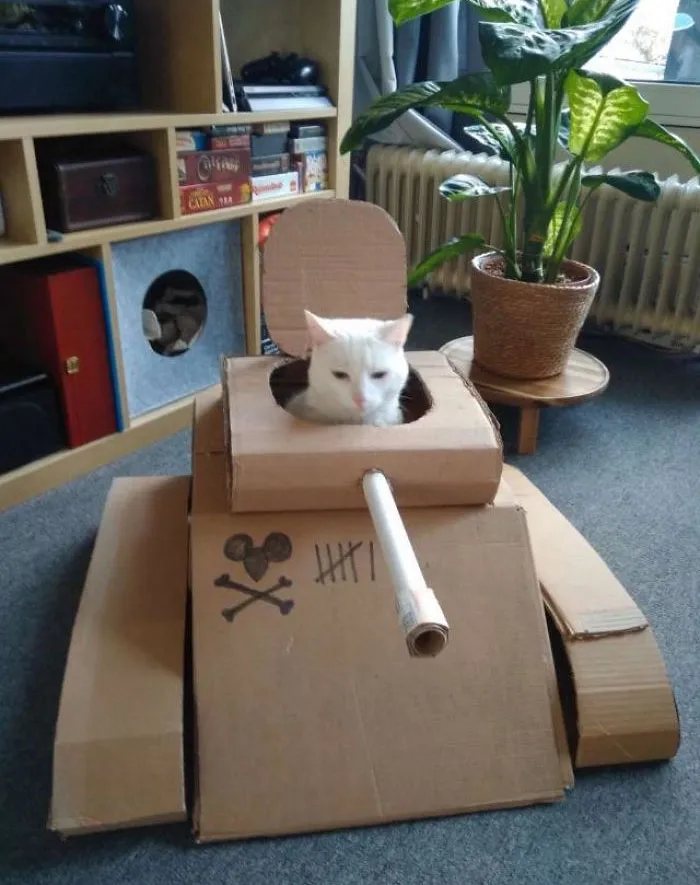 People In Quarantine Finally Have The Time For Cool Projects, And Here Are 32 Of The Most Creative Ones