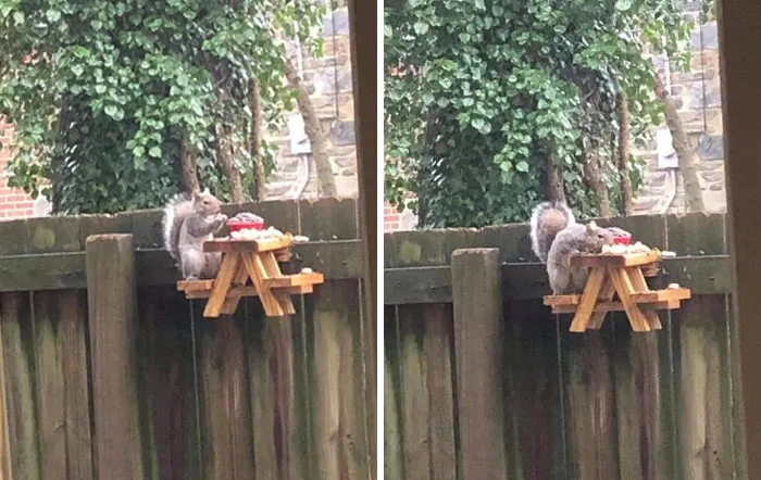 People In Quarantine Finally Have The Time For Cool Projects, And Here Are 32 Of The Most Creative Ones