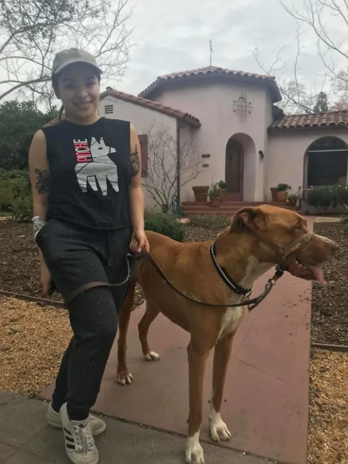 30 Perros que resultaron ser de una raza distinta de la que sus dueños creían
