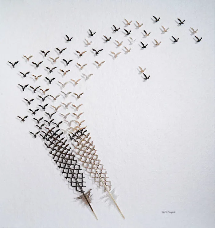 I Hand-Carve Feathers Into Intricate Designs Using Scalpels And Eye Surgery Scissors (30 New Pics)