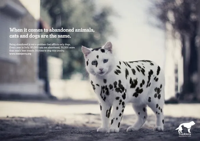 My 51 Favorite Print Ads That Use Cats In A Purrfect Way