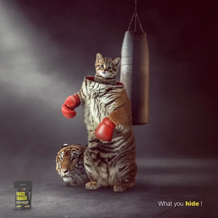 My 51 Favorite Print Ads That Use Cats In A Purrfect Way
