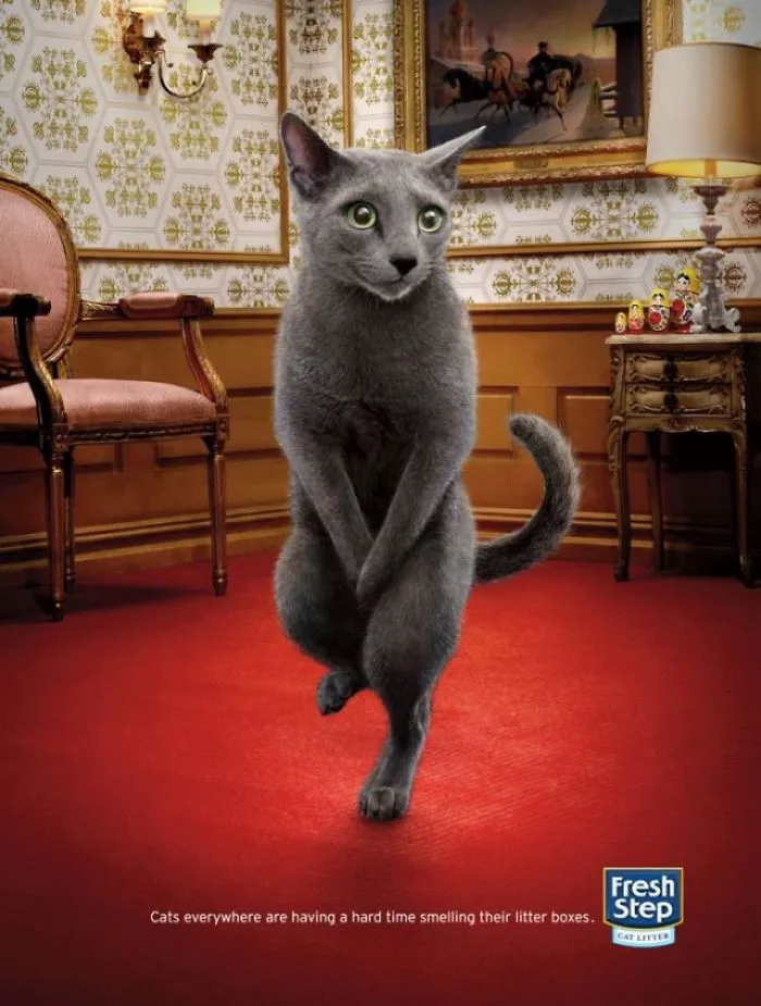My 51 Favorite Print Ads That Use Cats In A Purrfect Way