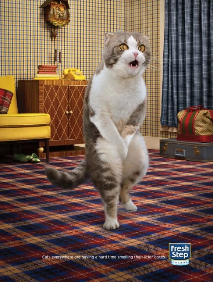 My 51 Favorite Print Ads That Use Cats In A Purrfect Way