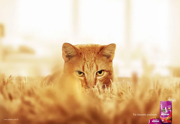 My 51 Favorite Print Ads That Use Cats In A Purrfect Way