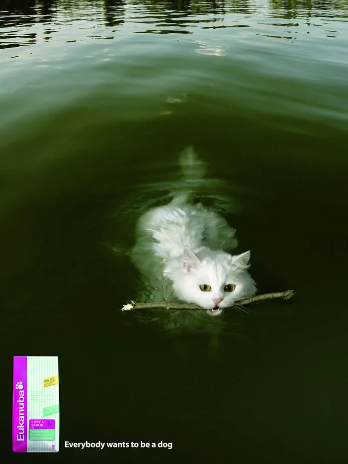 My 51 Favorite Print Ads That Use Cats In A Purrfect Way