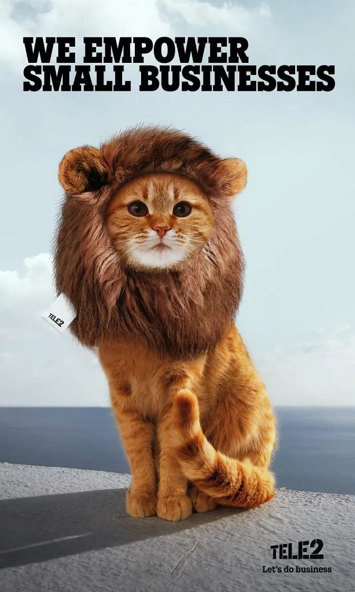 My 51 Favorite Print Ads That Use Cats In A Purrfect Way