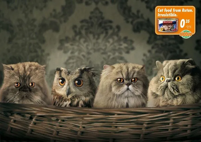 My 51 Favorite Print Ads That Use Cats In A Purrfect Way