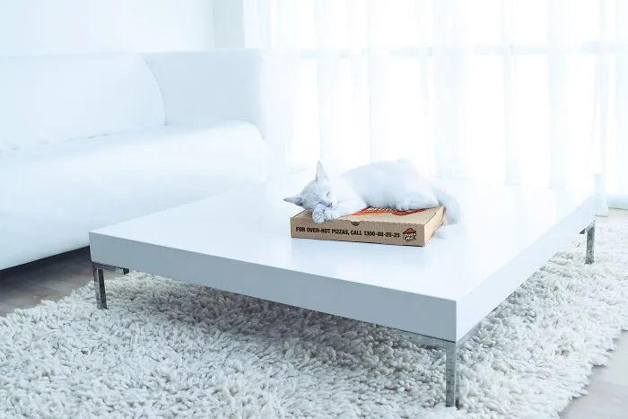 My 51 Favorite Print Ads That Use Cats In A Purrfect Way
