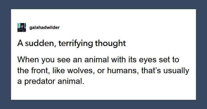 Guy Asks Why Dragons Have Eyes On The Sides Of Their Heads If They Are Predators, A Tumblr User Gives A Scientific Explanation