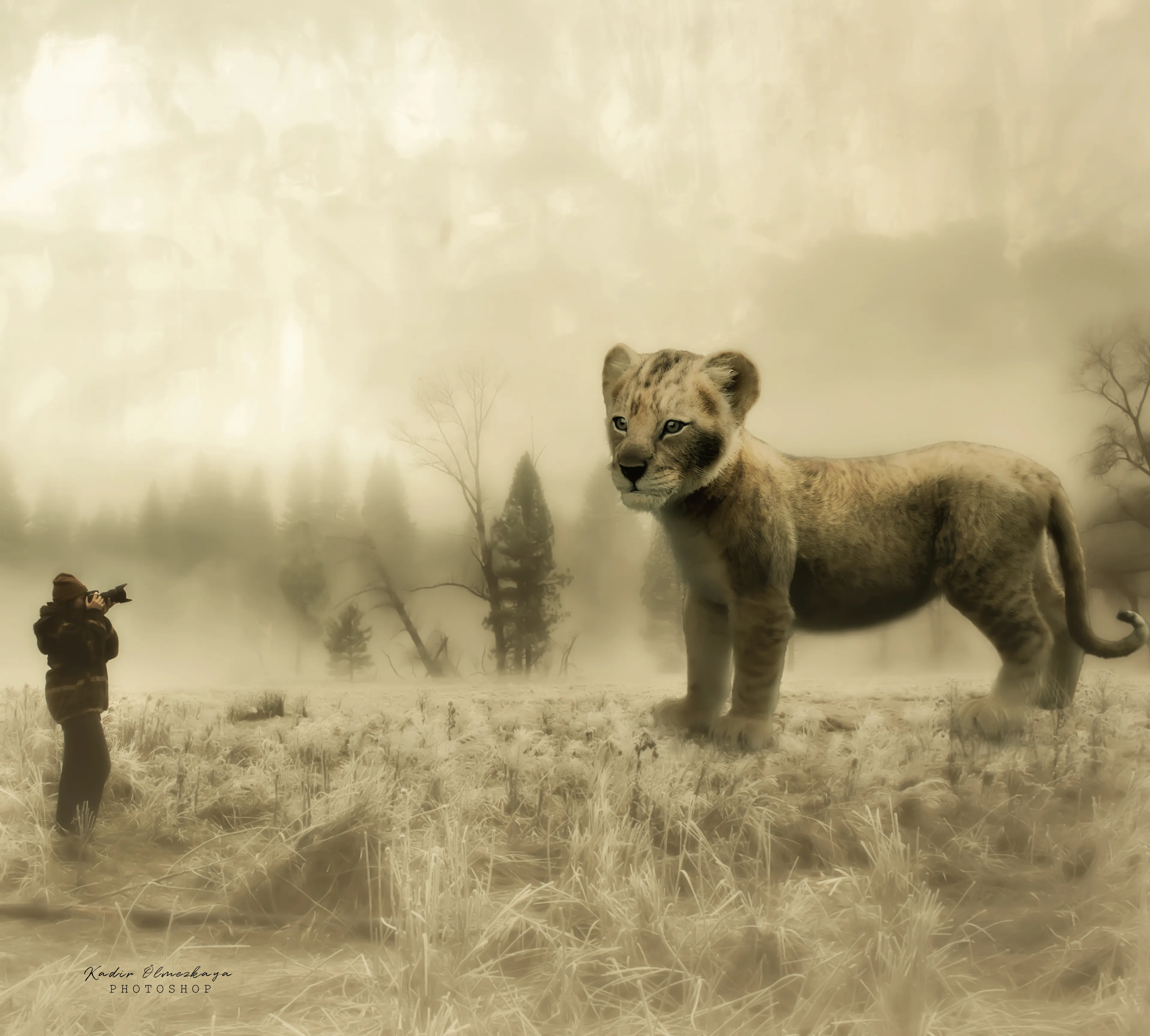 Photo Manipulation