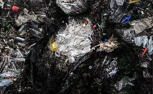 Garbage Classic / Garbage Beauty