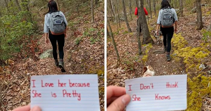 “I Don’t Think She Knows”: Covid-19 Ruins Guy’s Surprise Iceland-Engagement Plans, So He Decides To Make New Ones