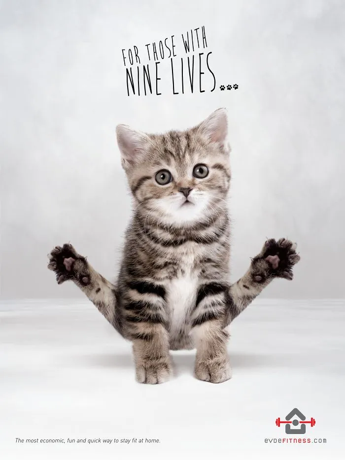 My 51 Favorite Print Ads That Use Cats In A Purrfect Way
