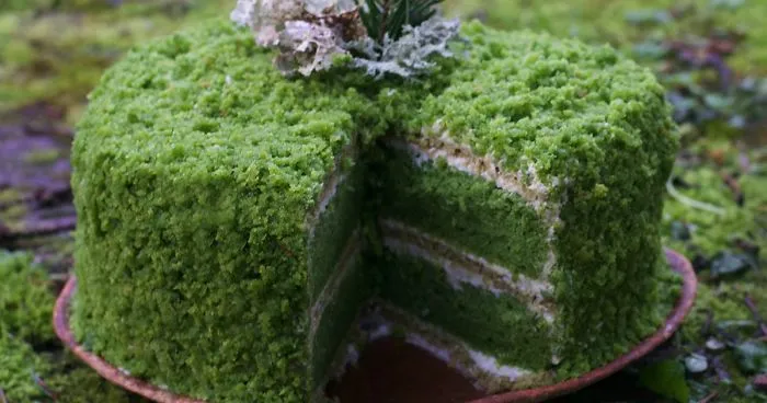 I Make "Trick Of The Eye" Foods That Are Entirely Edible And Nature-Inspired, Here Are 30 Of The Best