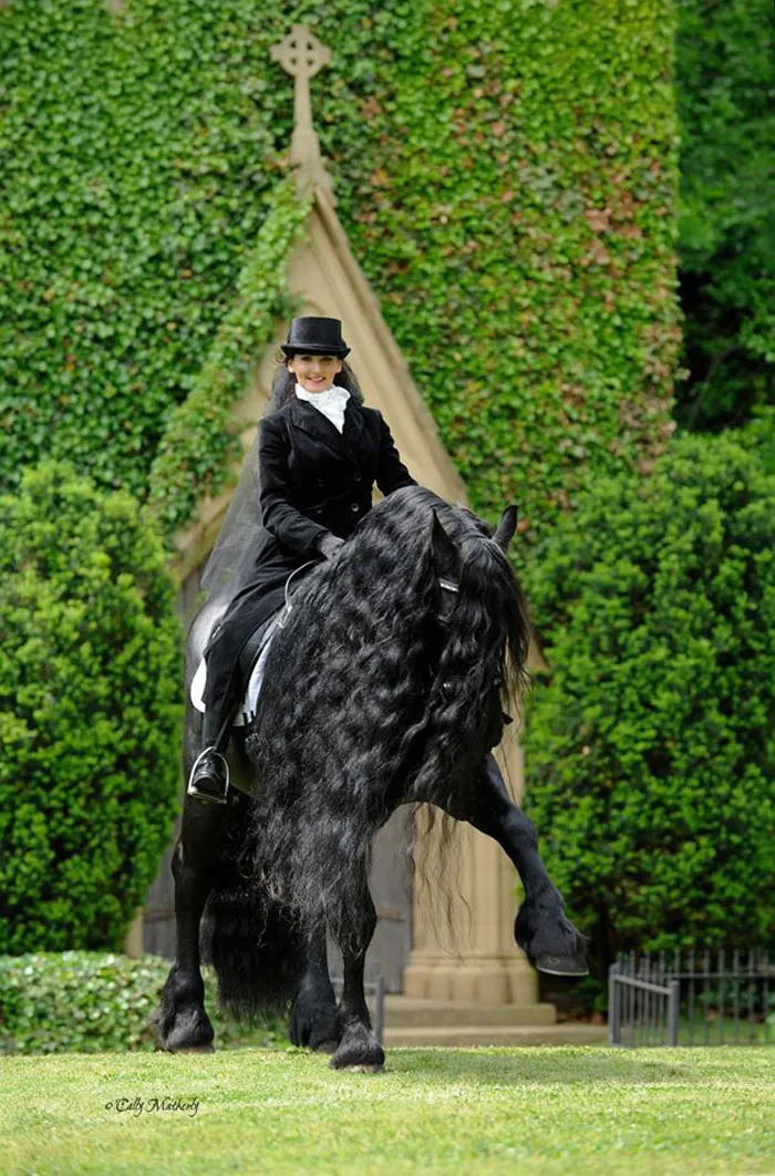 Meet Frederik The Great, Considered By Many The Most Handsome Horse In The World (30 Pics)