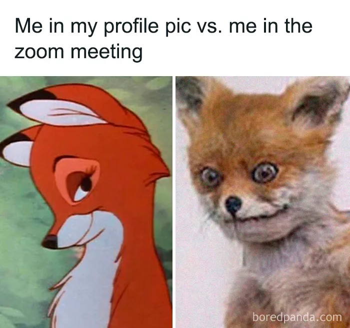 35 Best Posts About The Everyday Realities Of Zoom Meetings