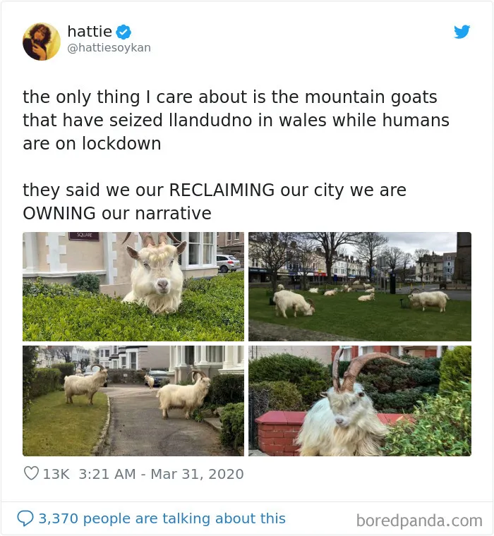 30 Hilarious Tweets That Prove Brits Have Kept Their Sense Of Humor During The Quarantine