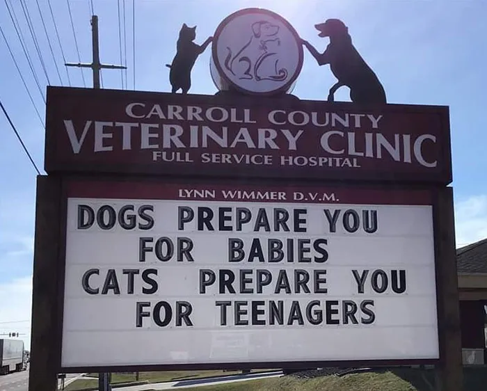 30 Of The Funniest Outdoor Signs From This Vet Clinic That Dad Joke Lovers Will Appreciate