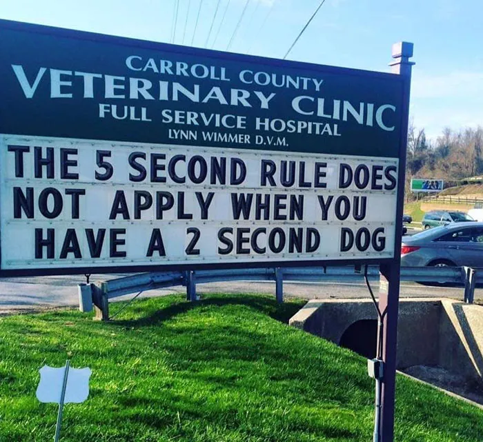 30 Of The Funniest Outdoor Signs From This Vet Clinic That Dad Joke Lovers Will Appreciate