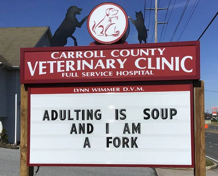 30 Of The Funniest Outdoor Signs From This Vet Clinic That Dad Joke Lovers Will Appreciate