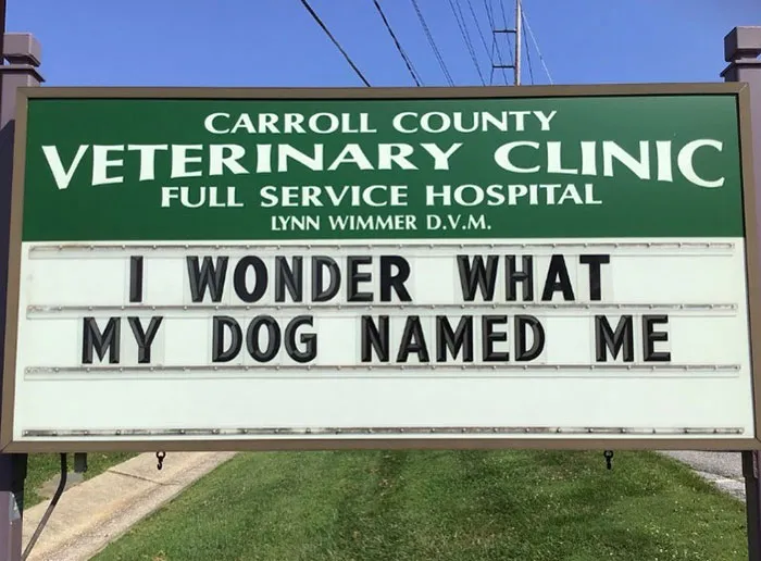 30 Of The Funniest Outdoor Signs From This Vet Clinic That Dad Joke Lovers Will Appreciate
