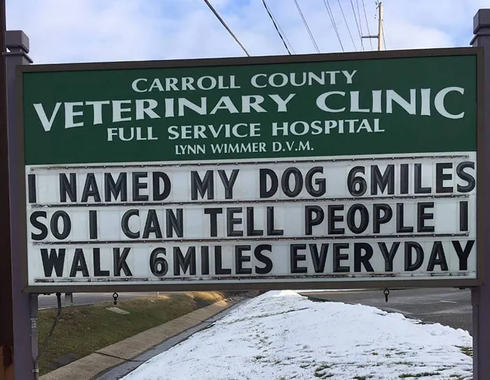 30 Of The Funniest Outdoor Signs From This Vet Clinic That Dad Joke Lovers Will Appreciate