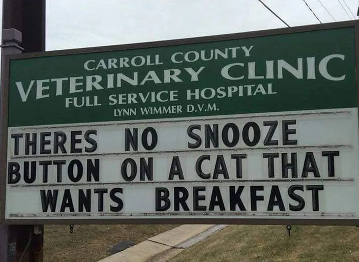 30 Of The Funniest Outdoor Signs From This Vet Clinic That Dad Joke Lovers Will Appreciate