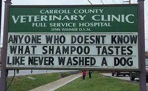 30 Of The Funniest Outdoor Signs From This Vet Clinic That Dad Joke Lovers Will Appreciate