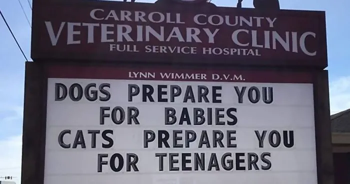 30 Of The Funniest Outdoor Signs From This Vet Clinic That Dad Joke Lovers Will Appreciate