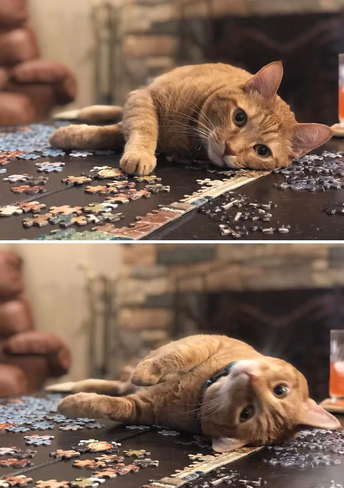La razón por la que tardamos tanto en hacer un puzzle