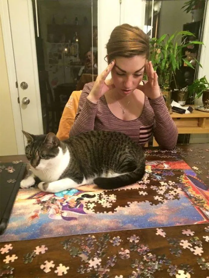 Ugh, Such A Cathole
