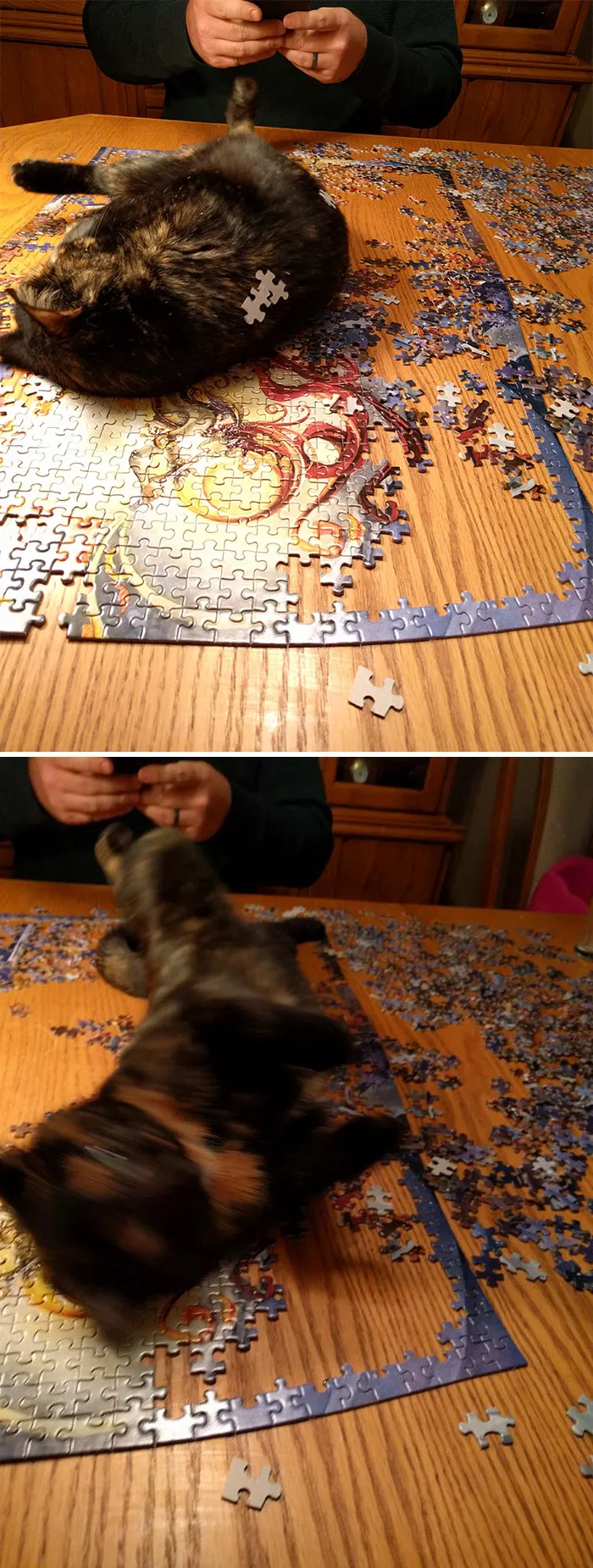 Puzzle bloqueado