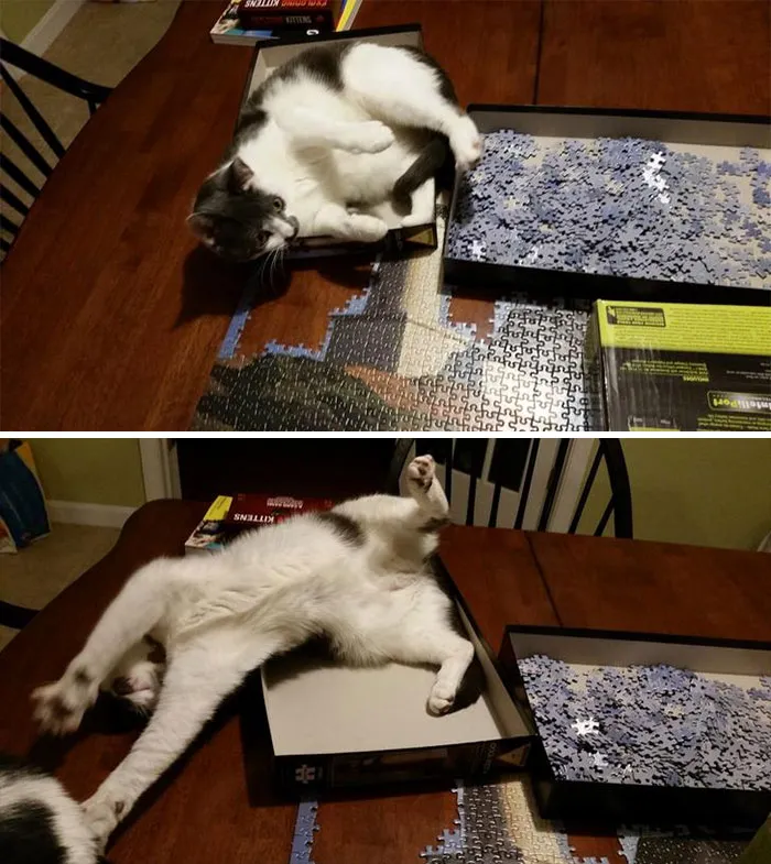 Ahora Thessaly es un puzzle