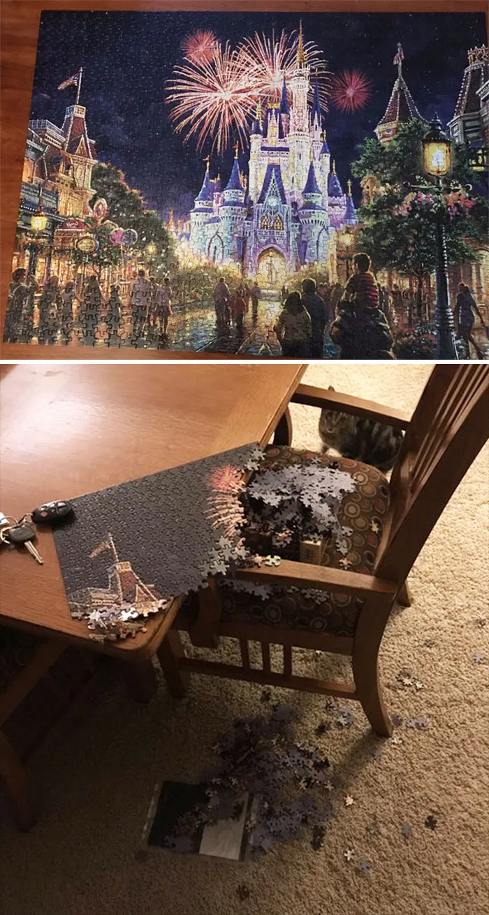 No se me dan bien los puzzles, pero me obsesioné con este. Esta mañana, mi gato lo había destruido
