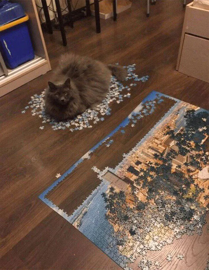 "So Try And Finish Your Puzzle Now Peasant"